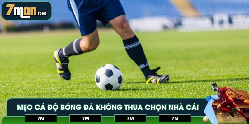 Mẹo cá độ bóng đá không thua chọn nhà cái uy tín